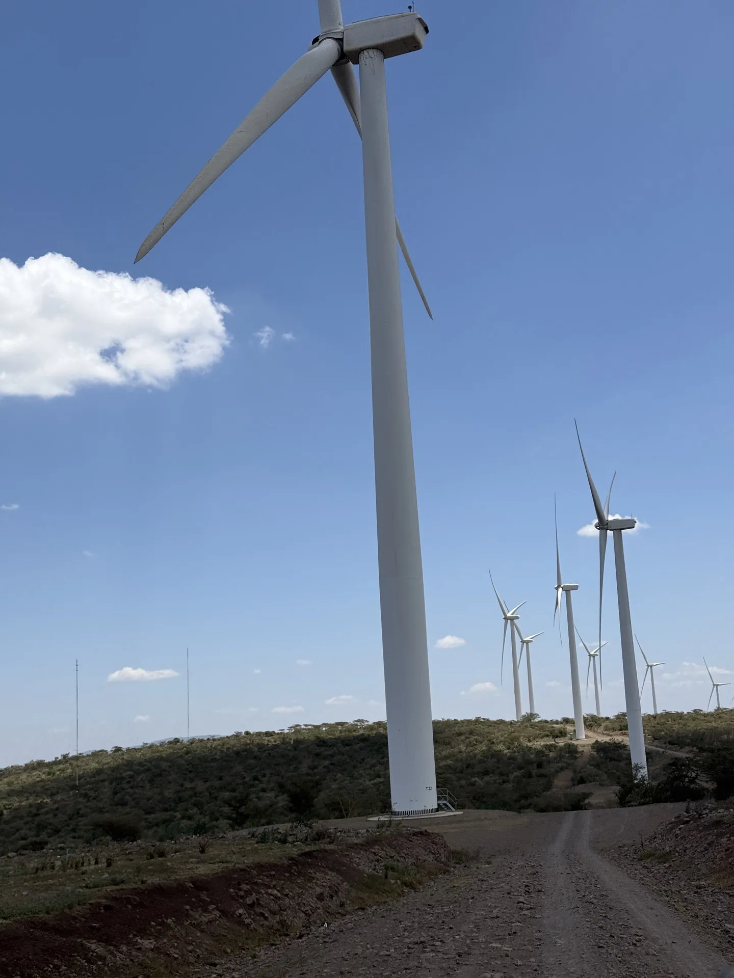 Wind turbine blades being transported